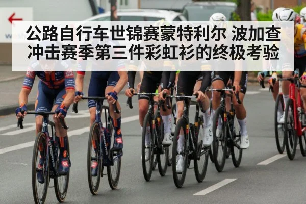 公路自行车世锦赛蒙特利尔 波加查冲击赛季第三件彩虹衫的终极考验